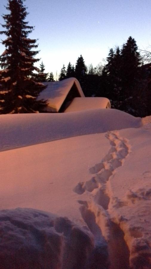 Chalet Camomille Les Gets Zewnętrze zdjęcie